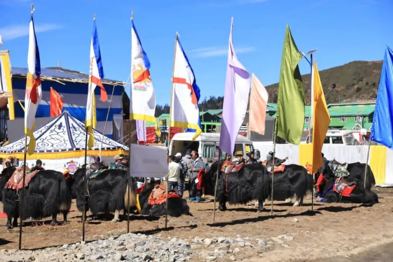 Himalayan Yak Festival
