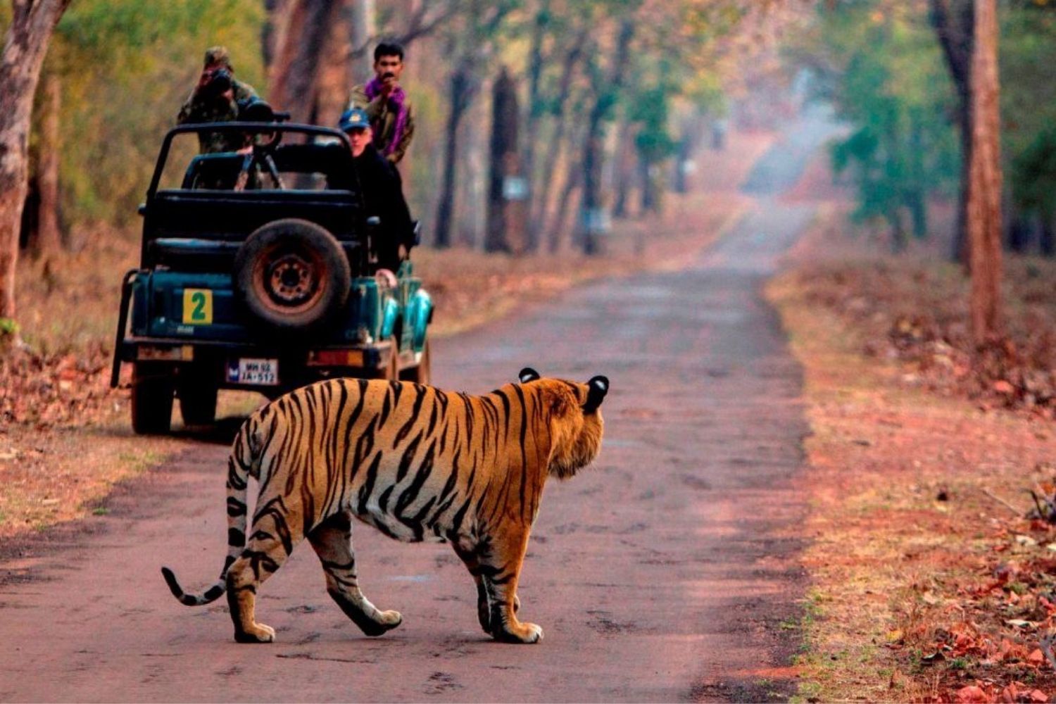 Maharashtra Wildlife Reserves