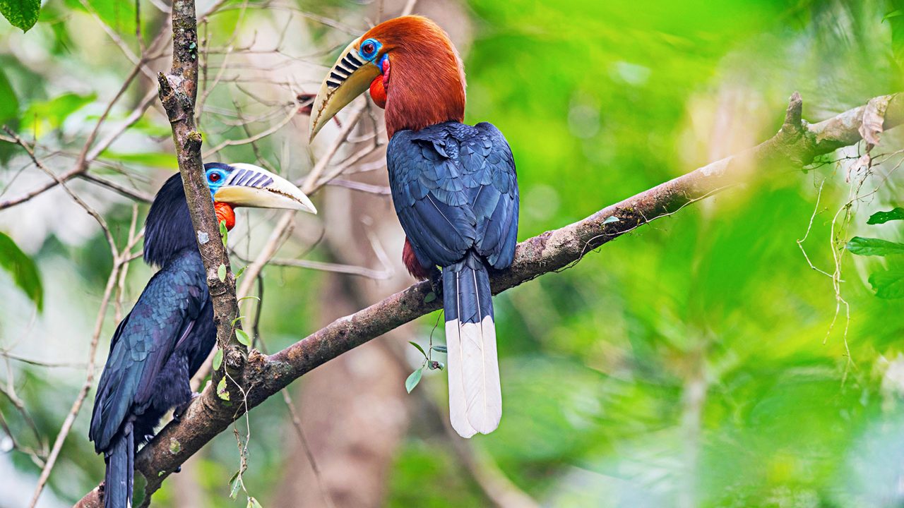 UNESCO Natural Sites: 7 Heritage Sites in India GST Registration Rules UNESCO Natural Sites