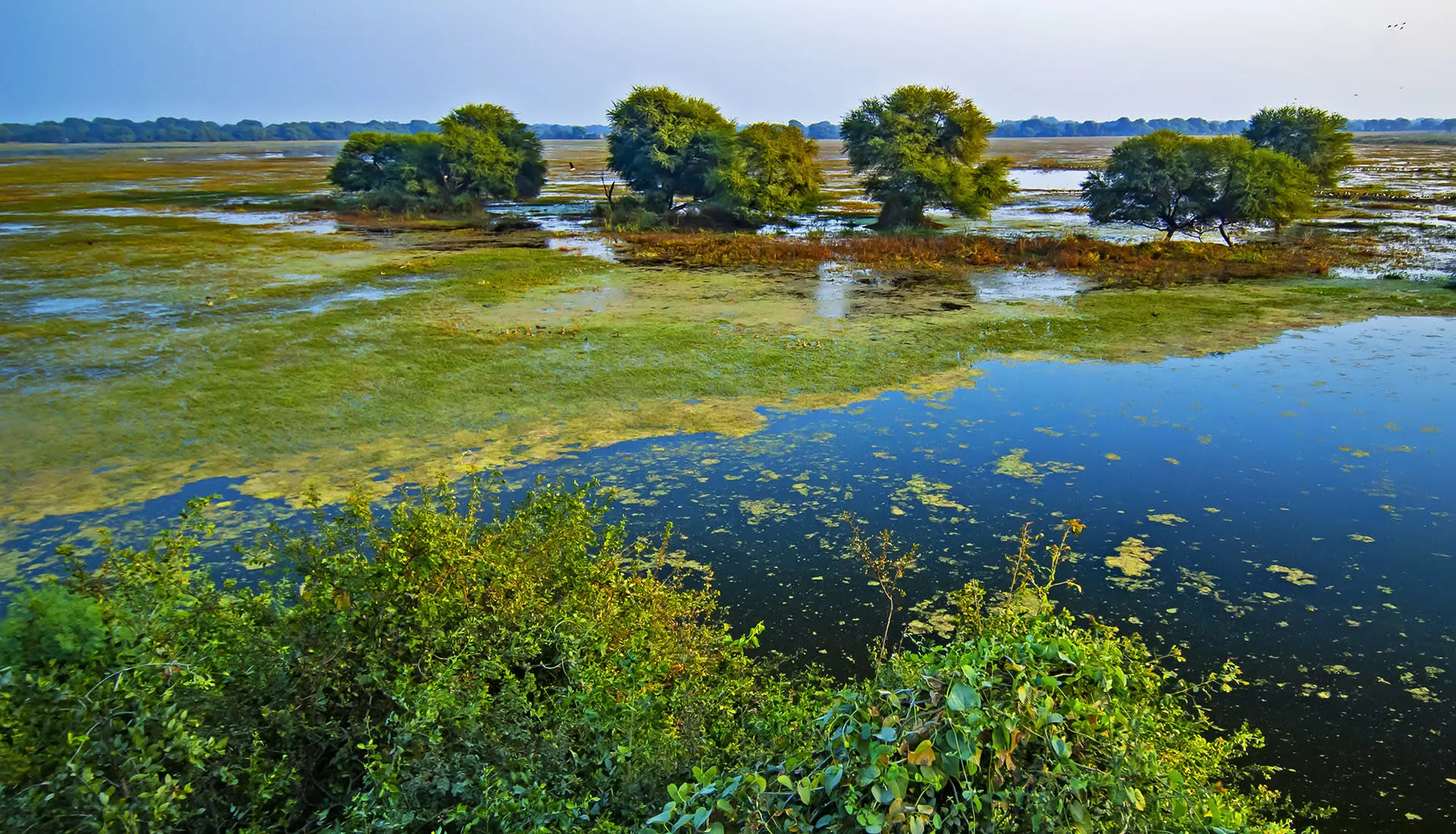 UNESCO Natural Sites: 7 Heritage Sites in India GST Registration Rules UNESCO Natural Sites